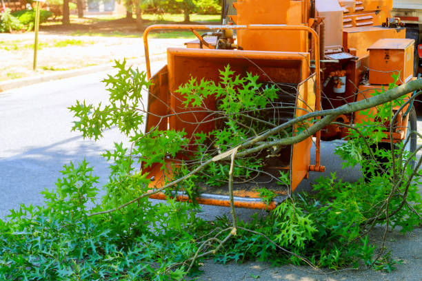 Best Lawn Mowing  in Point Venture, TX