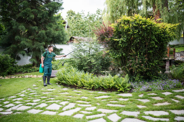 Best Lawn Pest Prevention  in Point Venture, TX