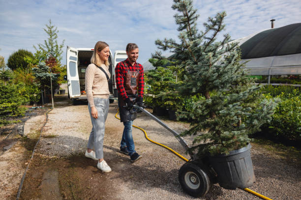Lawn Maintenance Plans in Point Venture, TX